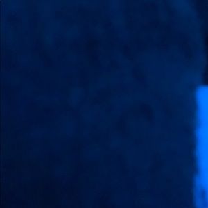 Meet your Posher, Ernesto